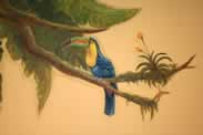  Jungle Toucan Bird Mural